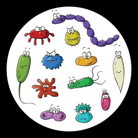putukad, mikroskoobi, lima, viirus Dedmazay - Dreamstime