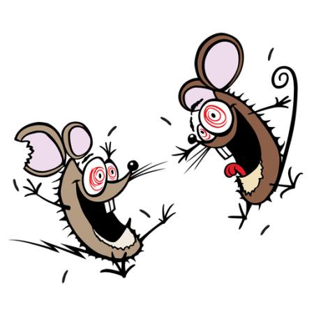 hiir, hiired, hull, õnnelik, kaks Donald Purcell - Dreamstime