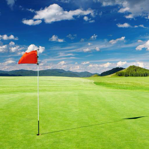 roheline, väli, lipp, golf, taevas, pilved Dmitry Pichugin (Dmitryp)