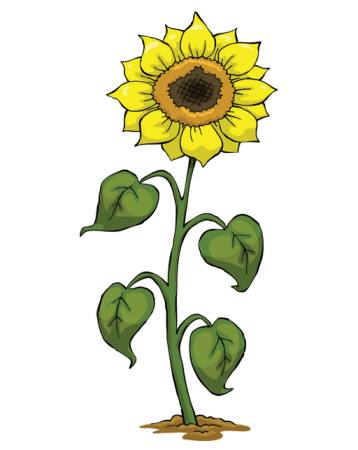 kollane, kasvab, lill, roheline, taimede Dedmazay - Dreamstime