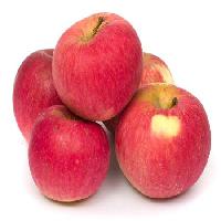 õunad, punane, puu, süüa Niderlander - Dreamstime