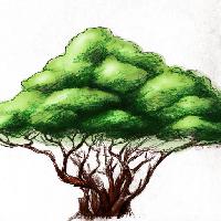 Pixwords Pildi puu, joonistamine, loodus Alexandr Mitiuc (Alexmit)