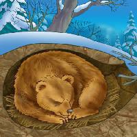 Pixwords Pildi karu, talv, uni, külm, loodus Alexander Kukushkin - Dreamstime