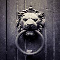 lõvi, ring, suu, uks Mauro77photo - Dreamstime