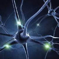 Pixwords Pildi Synapse juht, neuron, ühendused Sashkinw - Dreamstime