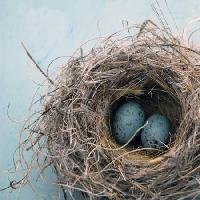 Pixwords Pildi pesa, muna, linnud, sinine, kodus, Antaratma Microstock Images © Elena Ray - Dreamstime