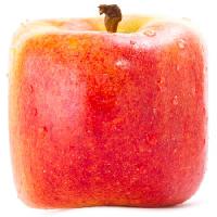 Pixwords Pildi õun. punane, kollane, süüa, toit Sergey02 - Dreamstime
