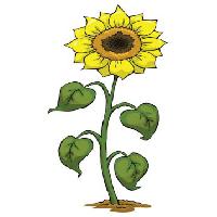 Pixwords Pildi kollane, kasvab, lill, roheline, taimede Dedmazay - Dreamstime
