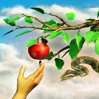 õun, madu, filiaali, roheline, lehed, käsi Andreus - Dreamstime