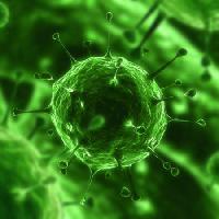 bakterid, viirused, putuka-, haigus, raku Sebastian Kaulitzki - Dreamstime